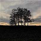 Das H�gelgrab bei St�hren im Abendlicht.