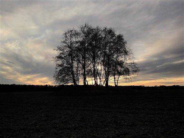 Das H�gelgrab bei St�hren im Abendlicht.
